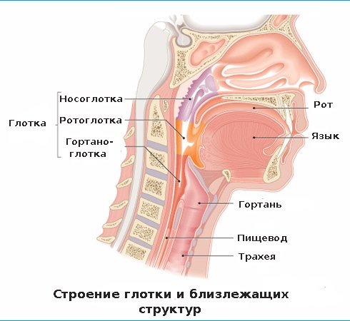 лечение фарингита